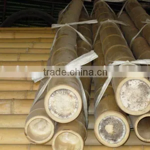 Bamboo Pole Sun-028 thumbnail-1