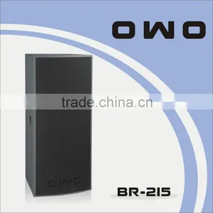 BR Series PA Loudspeaker BR-215 thumbnail-1