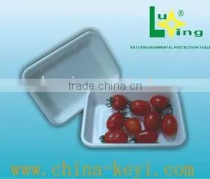 Eco-friendly Food Tray thumbnail-1