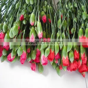 China Classical Carnation for Wedding Stage Backdrop Decoration thumbnail-1