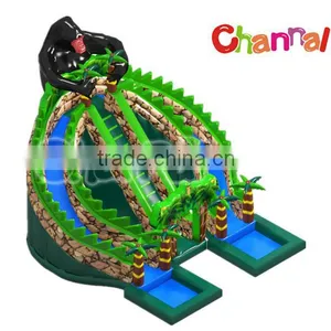 Hot Selling Channal Crazy Inflatable Slide Commercial Inflatables Slide for Sale Supplier's Choice thumbnail-1
