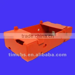 Corrugated Plastic Fruit Tray thumbnail-1