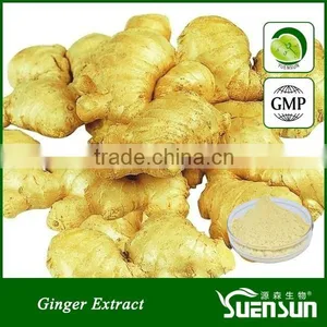 NSF-GMP Certificated Free Sample Ginger Root Powder Dried Ginger Powder Price thumbnail-1