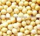 Soybean Powder thumbnail-1