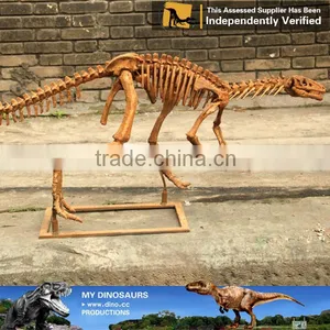 MY Dino-C075 Small Fake Skeletons for Home Decoration thumbnail-5