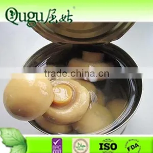 2015 Canned Champignon Mushroom in Brine, Hight Quality Mushroom thumbnail-1