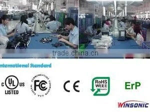 Winsonic Electric Limited company overview - view 1 thumbnail