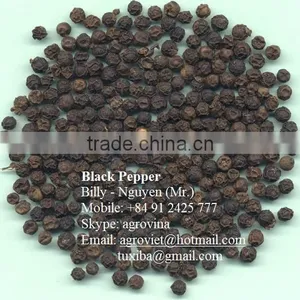 Pepper - Agroviet@hotmail.com (website: Intimexna) thumbnail-1