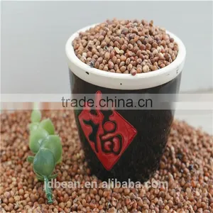 Natural Glutinous Red Sorghum Price thumbnail-3
