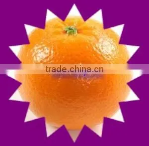 Mandarin thumbnail-1