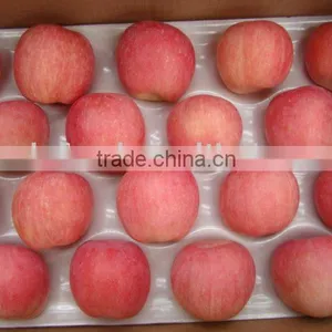 Chinese Red Fuji Apples thumbnail-1