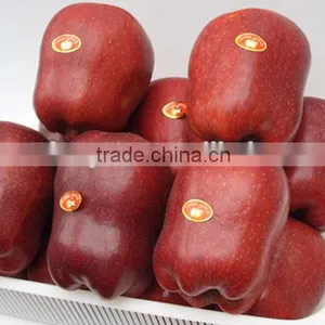 2015 Chinese Huaniu Apple thumbnail-4