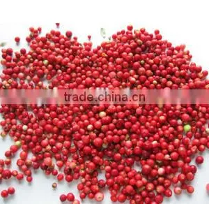 Frozen Lingonberry Best Selling Products thumbnail-1