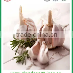 Garlic Spices From Jinxiang With Own Brand thumbnail-1