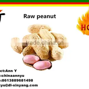 Wholesale Long Size Chinese Peanut Kernels From China thumbnail-1