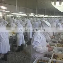 Qinhuangdao Yanshan Chestnut Co., Ltd. company overview - view 3 thumbnail