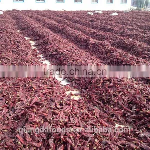 Chinese Water Washed Paprika Pod/Dried Chili thumbnail-4