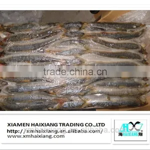 New Arrival Frozen Sardines for Bait thumbnail-2