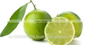 Lime Oil thumbnail-2