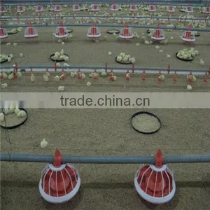 Chicken Feeder Pan thumbnail-2