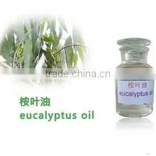 Eucalyptus Oil thumbnail-1