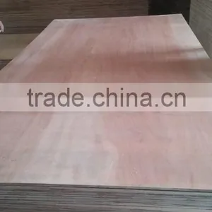 Packing Grade Laminated 18mm Eucalyptus Plywood thumbnail-5