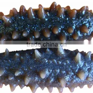 Liquid Nitrogen Fast Freeze Machine for Freezing Sea Cucumber thumbnail-4