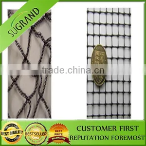 Virgin HDPE PE Plastic Agricultural Bird Netting Vineyard Bird Netting Bird Protection Net thumbnail-3