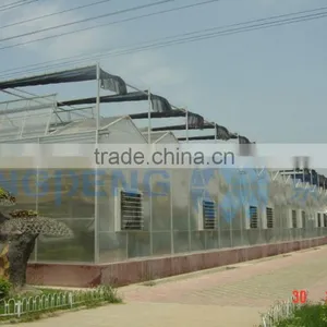 Fully Openable Roof Film Greenhouse ISO9001:2000 thumbnail-2