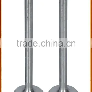 Inlet and Exhaust Valve thumbnail-1