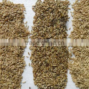 Anhui Manufacturer LED Ccd Corn Color Sorter Machine thumbnail-6