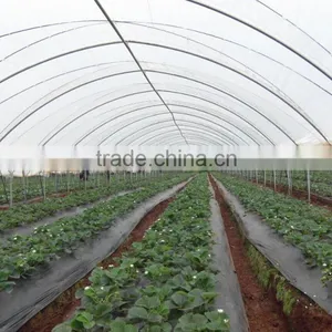 Tunnel-600 Agricultural Economical Greenhouse thumbnail-2