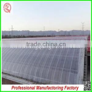 Multi Span Agricultural Film Greenhouse for Potatoes for Sale thumbnail-4