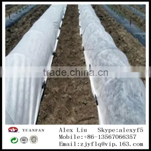 TNT Non Woven Fabric , Agriculture Useing pp Non Woven Fabric thumbnail-2