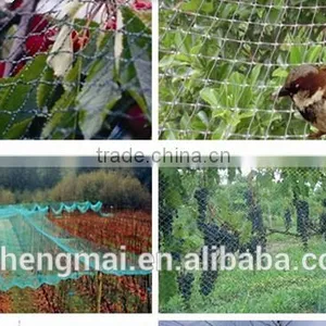 100% Virgin HDPE Protection Anti-hail Net,wind Net /Anti Bird Net thumbnail-6