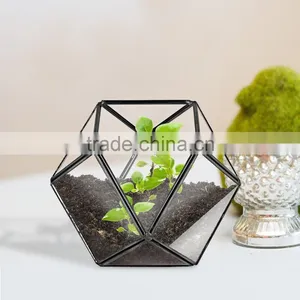 One Face Opening / Cube Terrarium / Indoor Mini Modern Planter / Handmade / For Airplant Vintage Glass Terrarium Box thumbnail-5