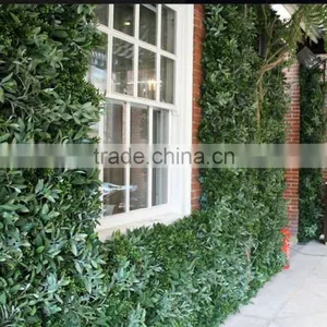 Exterior Grade Green Walls Made With Buxus Sprays to Create a Simple Green Backdrop thumbnail-6