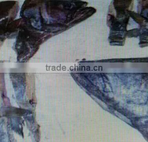 Greenland Halibut Head thumbnail-1