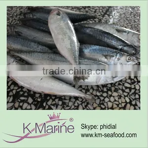 Hot Selling Frozen Fish Productions Lot Number#kmw4046 thumbnail-1