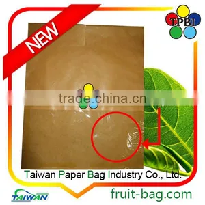 TPBI Taiwan Kate Mango Paper Bag Protective Waterproof Cover thumbnail-3
