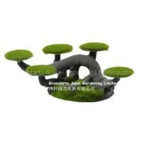 Moss Tree Stump, Bosai Tree thumbnail-1