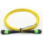 LSZH Jacket FTTX 12 Core Fiber Optic Patch Cord , Fiber Optic Jumper thumbnail-1