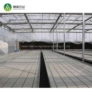 Aluminum Frame With Hot Galvanized Greenhouse Ebb and Flow Rolling Bench thumbnail-2