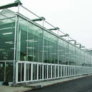 Commercial Glass Greenhouse With Clear PC Sheet Roof thumbnail-3