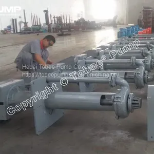 Standard 40mm Heavy Duty Cantilever Sump Slurry Pump thumbnail-1