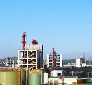 Rizhao Blue Spirit E.p.t. Co.,ltd company overview - view 1 thumbnail