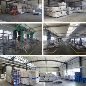 Shijiazhuang Standard Chemicals Co.ltd company overview - view 1 thumbnail