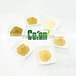 Instant Jujube Extract Powder thumbnail-5