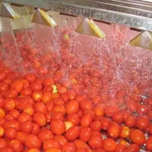Shanghai Multifunctional Complete Fruit Paste & Jam Vacuum Evaporator Scraper thumbnail-4