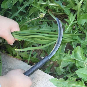 Professional Weed Sickle Sickle for Weeds Sickle Weed Tool for Garden Weeding Field Cleaning and Grass Cutting thumbnail-3